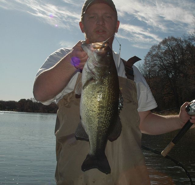 Spinnerbait fish